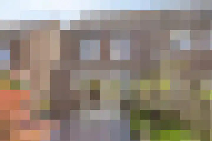 Via Alosta 21 Elst thumbnail 44