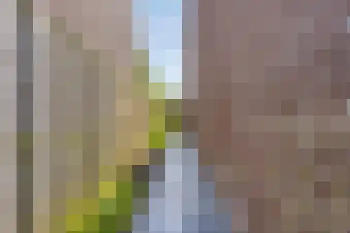 Via Alosta 21 Elst thumbnail 45