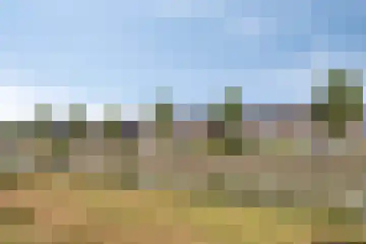 Via Alosta 21 Elst thumbnail 5