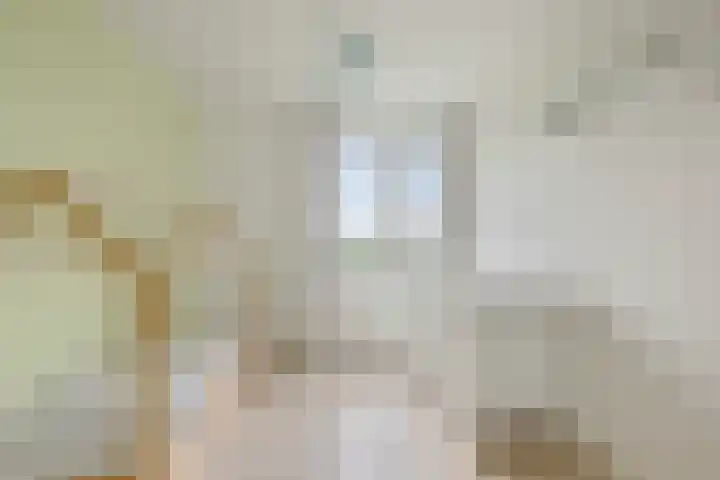 Via Alosta 25 Elst thumbnail 17