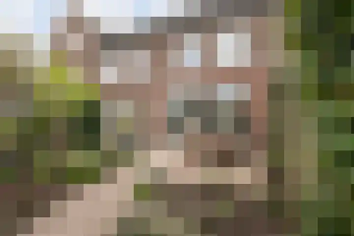 Via Alosta 25 Elst thumbnail 27