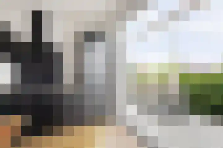 Via Alosta 25 Elst thumbnail 5
