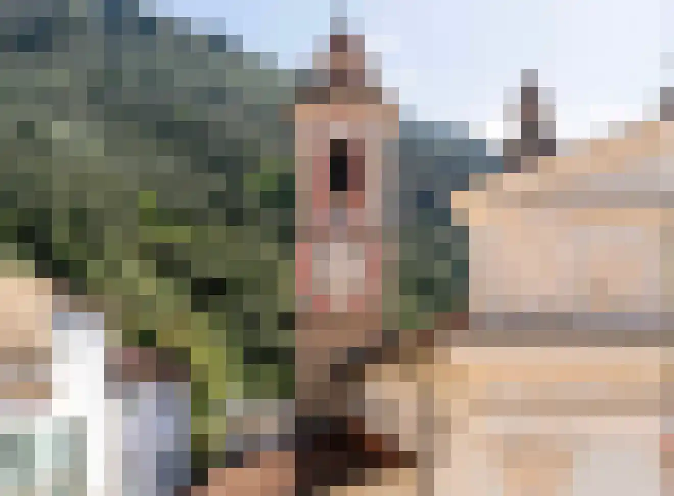 Via Antiqua 3 Noordwijkerhout thumbnail 26