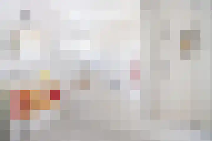 Via Cimarosa 12 Voorburg thumbnail 23