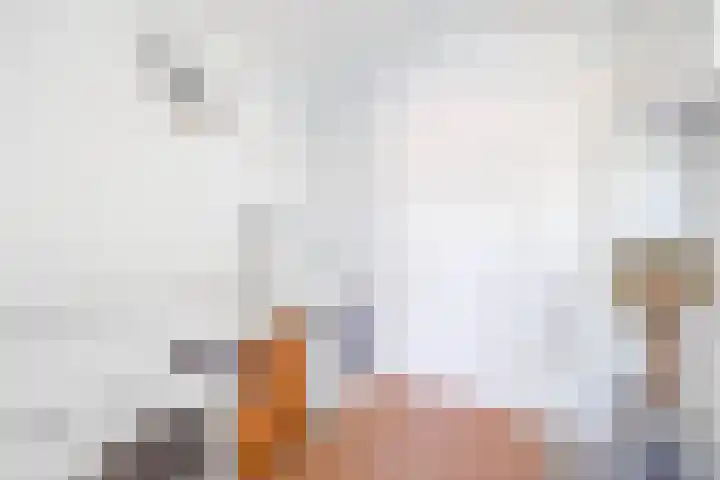 Via Cimarosa 12 Voorburg thumbnail 24