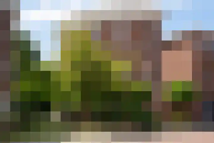 Via Cimarosa 29 Voorburg thumbnail 10