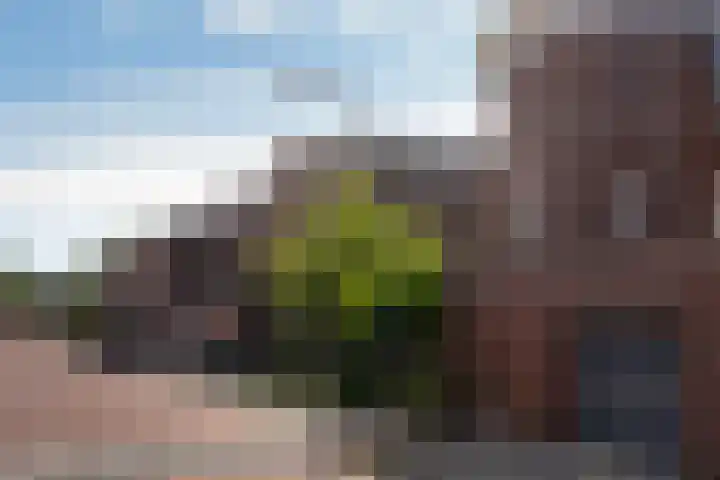 Via Cimarosa 29 Voorburg thumbnail 11