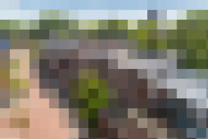 Via Cimarosa 29 Voorburg thumbnail 12