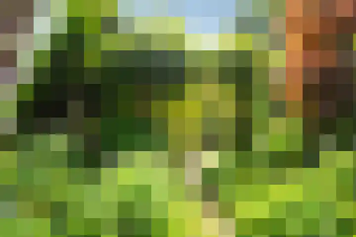 Via Cimarosa 29 Voorburg thumbnail 44