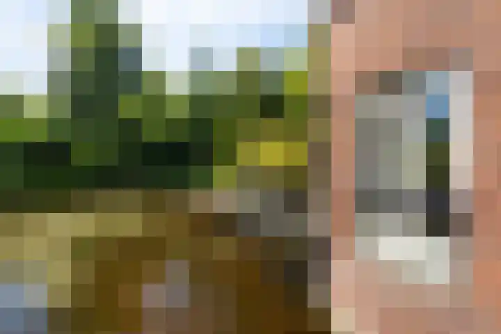 Via Cimarosa 29 Voorburg thumbnail 47