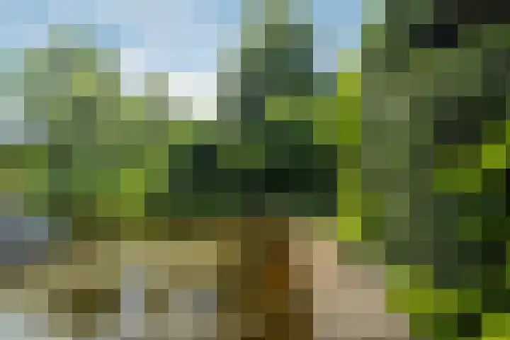 Via Cimarosa 29 Voorburg thumbnail 49