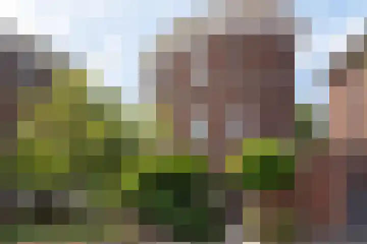 Via Cimarosa 29 Voorburg thumbnail 7