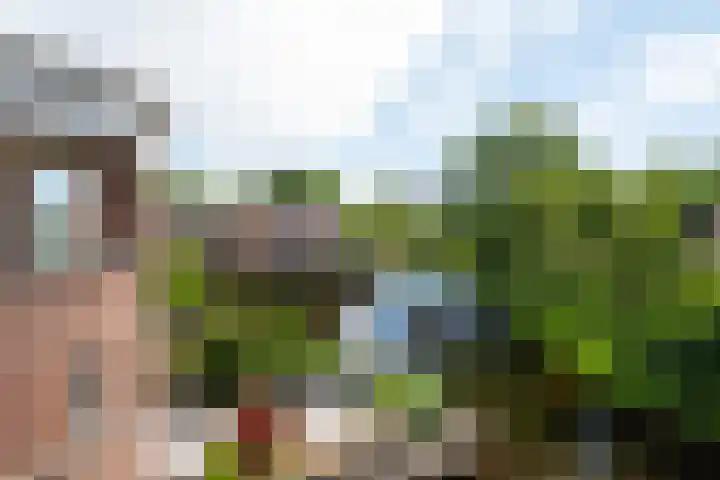 Via Cimarosa 29 Voorburg thumbnail 73