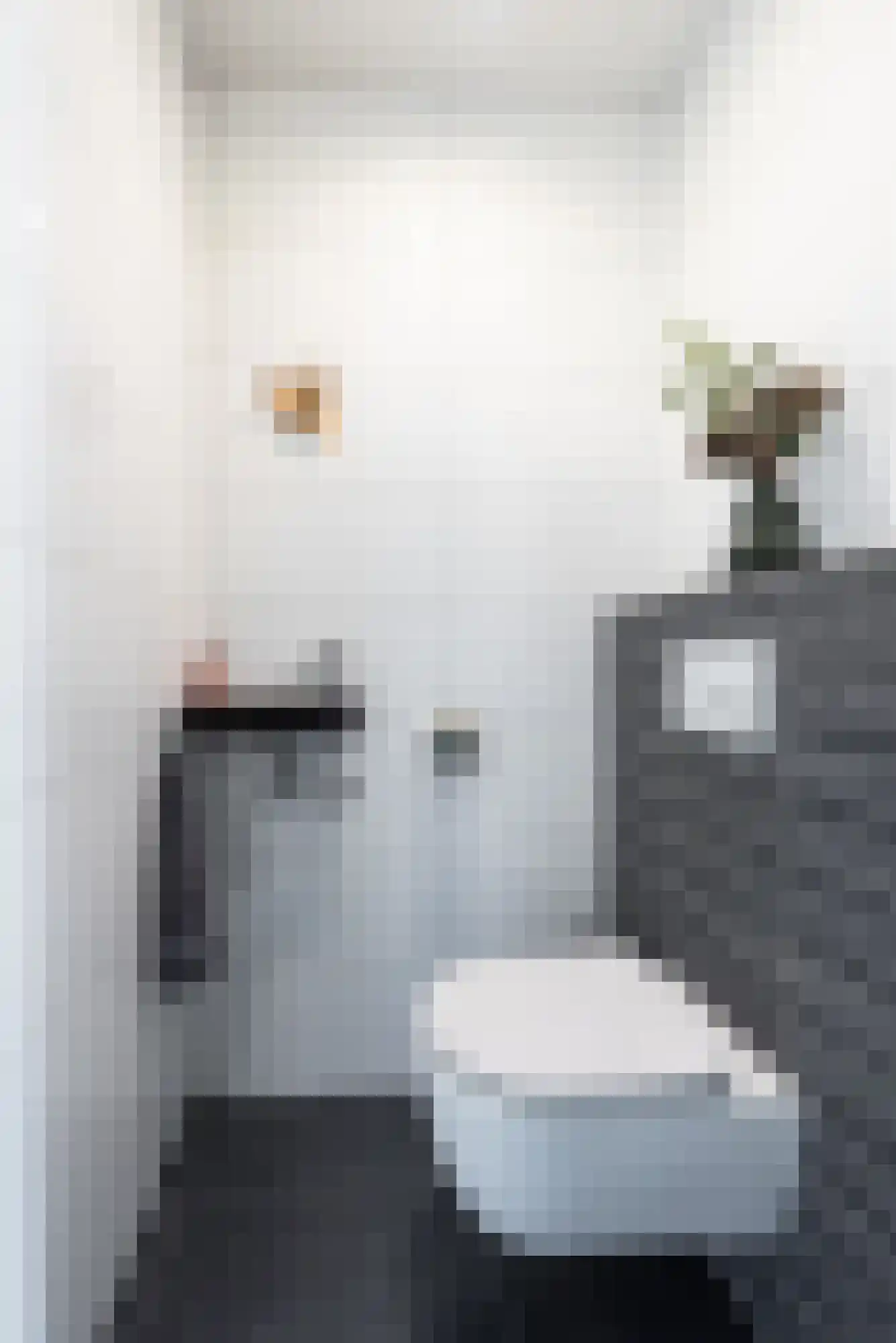 Via Horta 105 Houten thumbnail 17