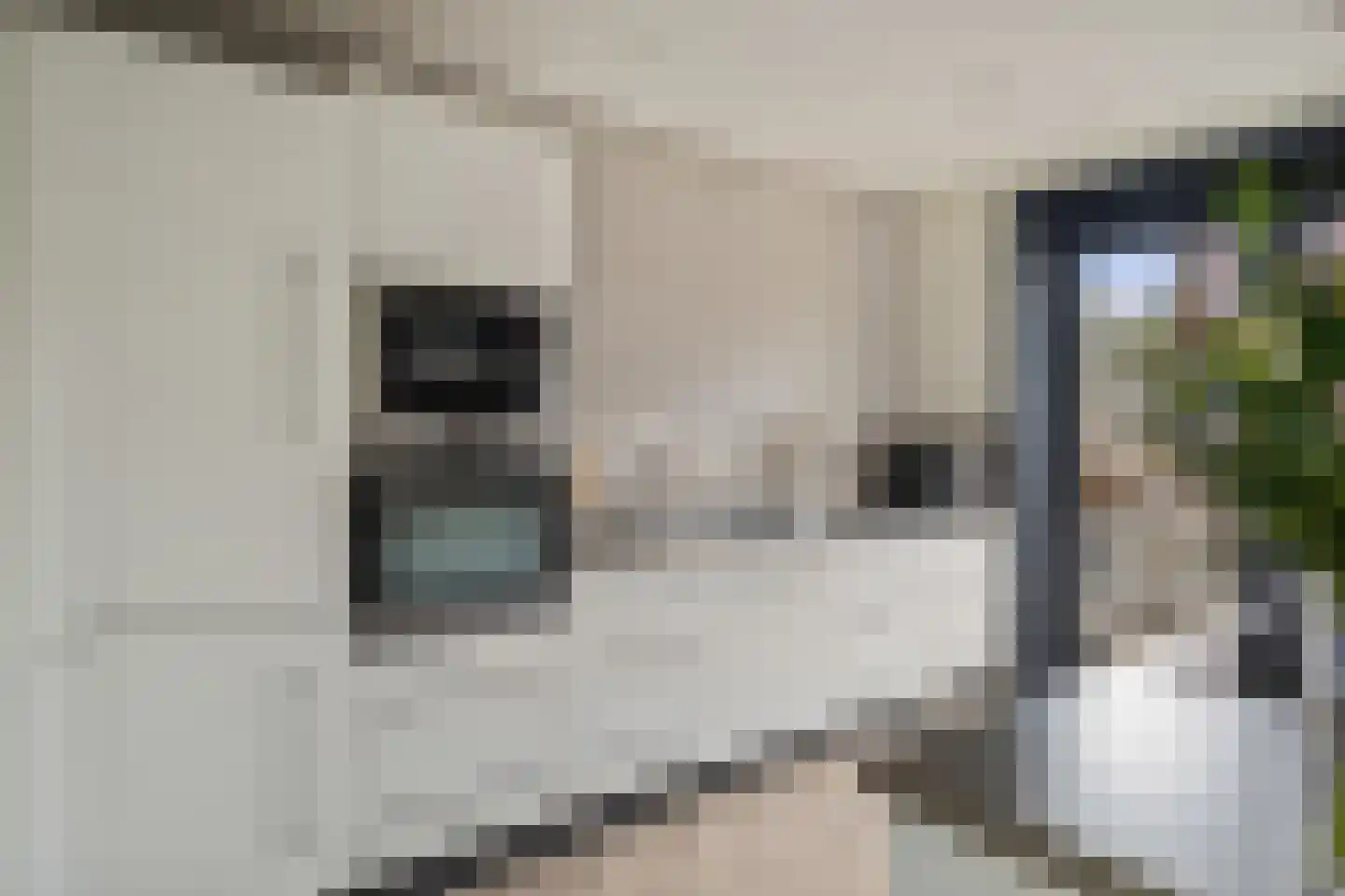 Via Horta 113 Houten thumbnail 15