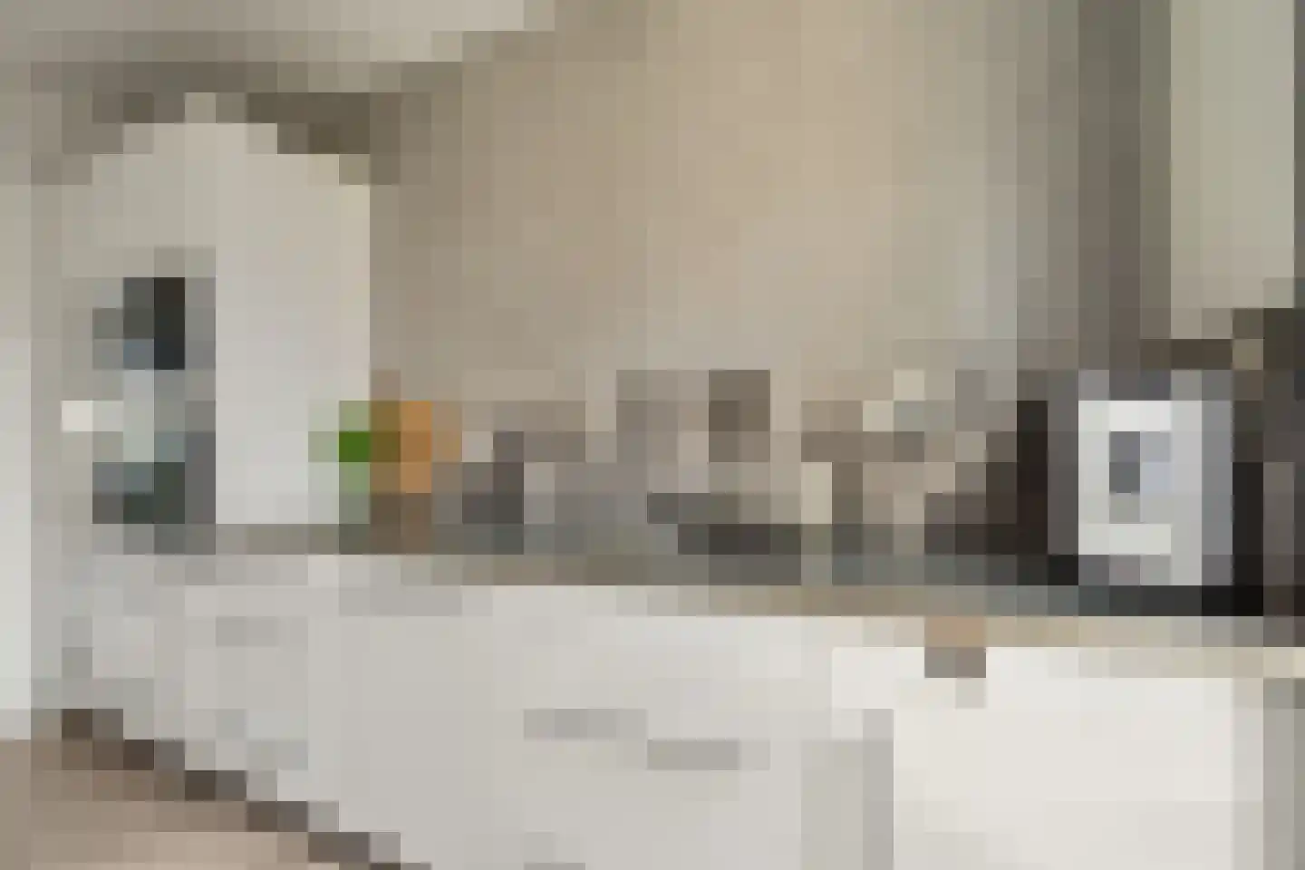 Via Horta 113 Houten thumbnail 16