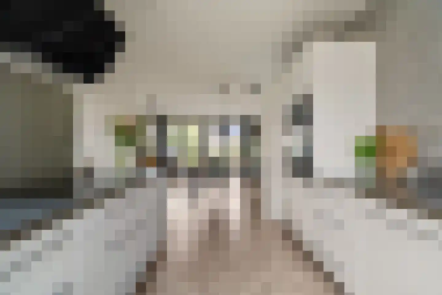 Via Horta 113 Houten thumbnail 17