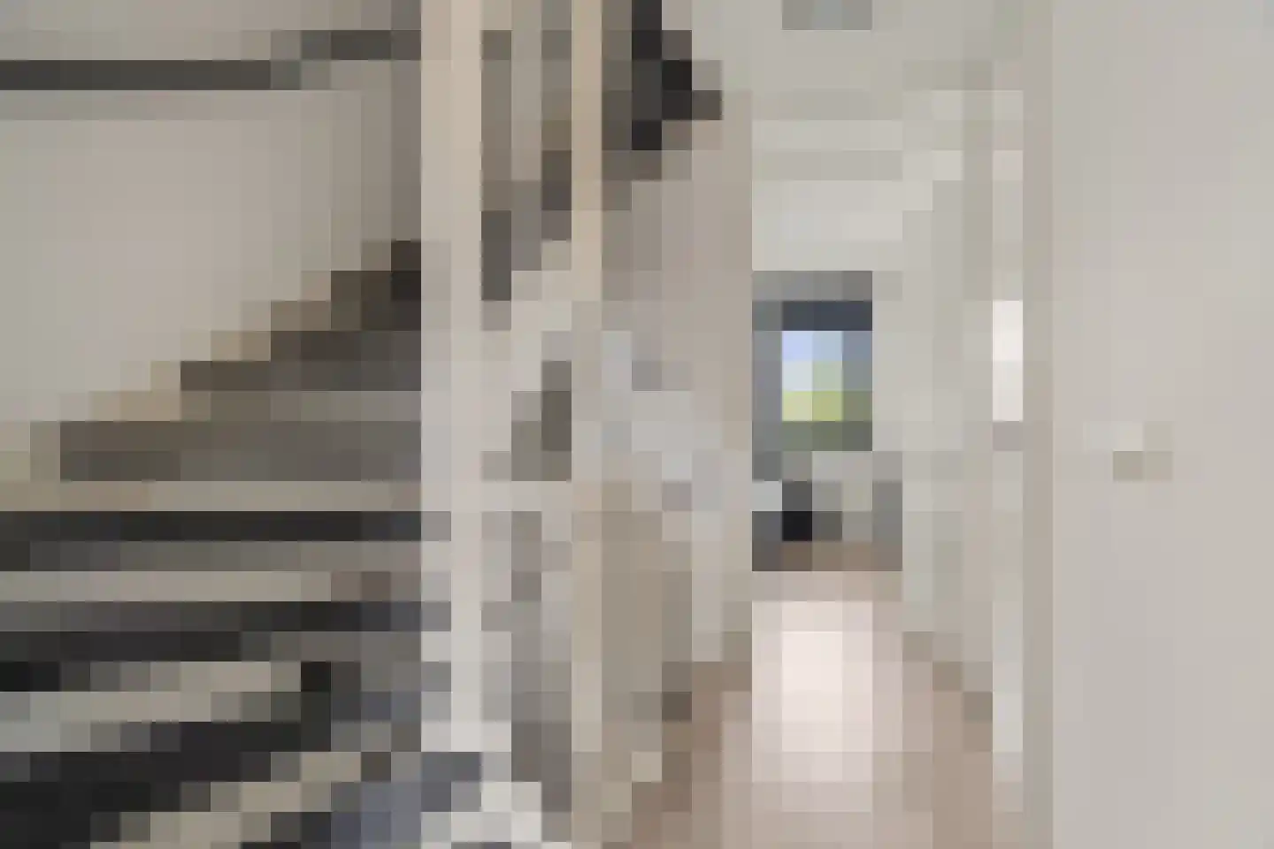 Via Horta 113 Houten thumbnail 29
