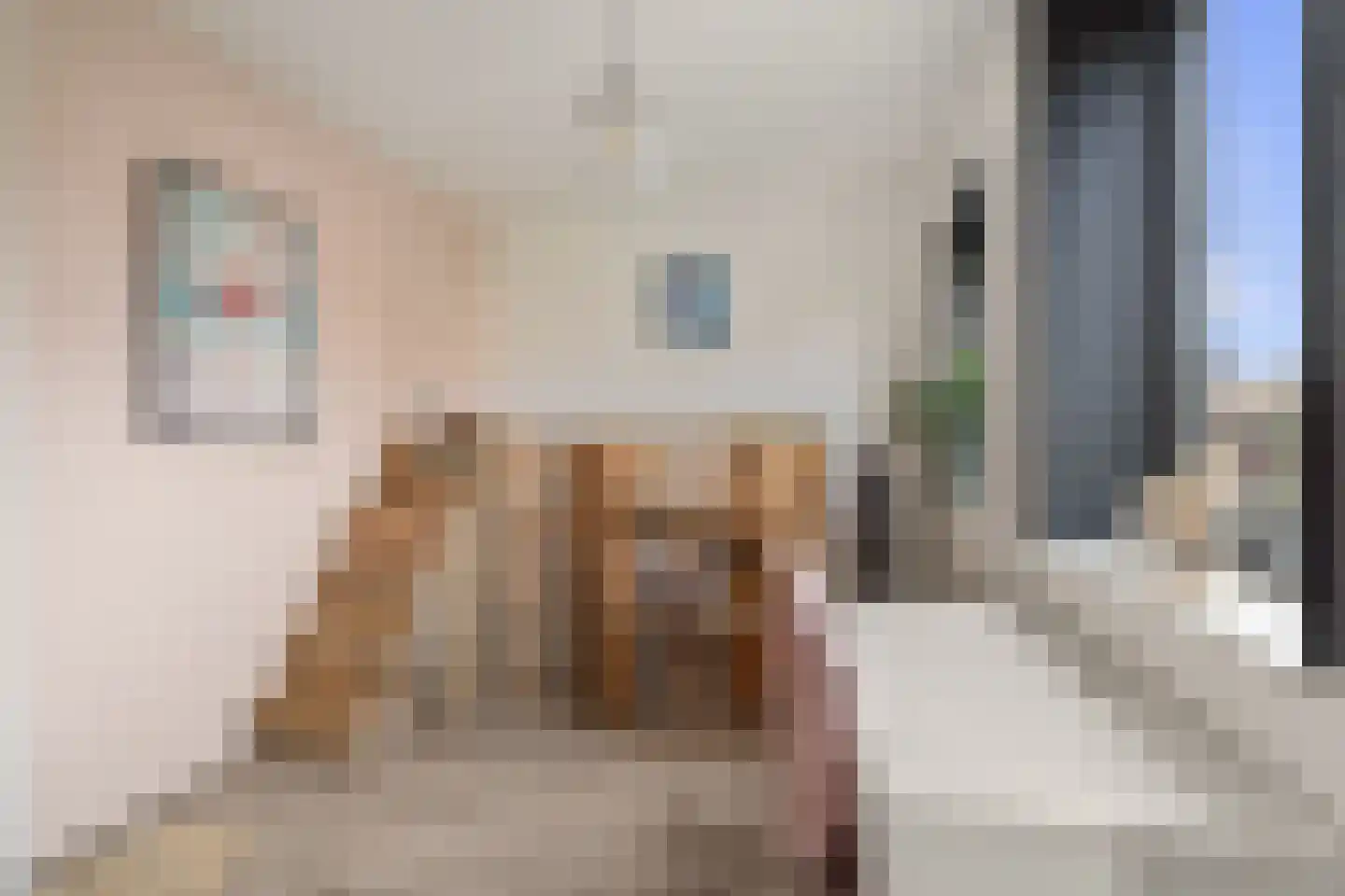 Via Horta 113 Houten thumbnail 34
