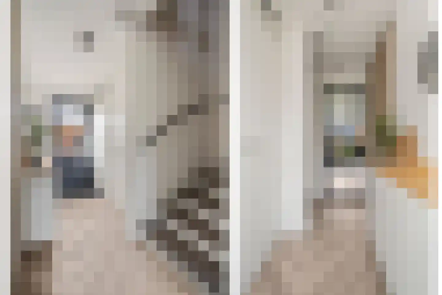 Via Horta 113 Houten thumbnail 46