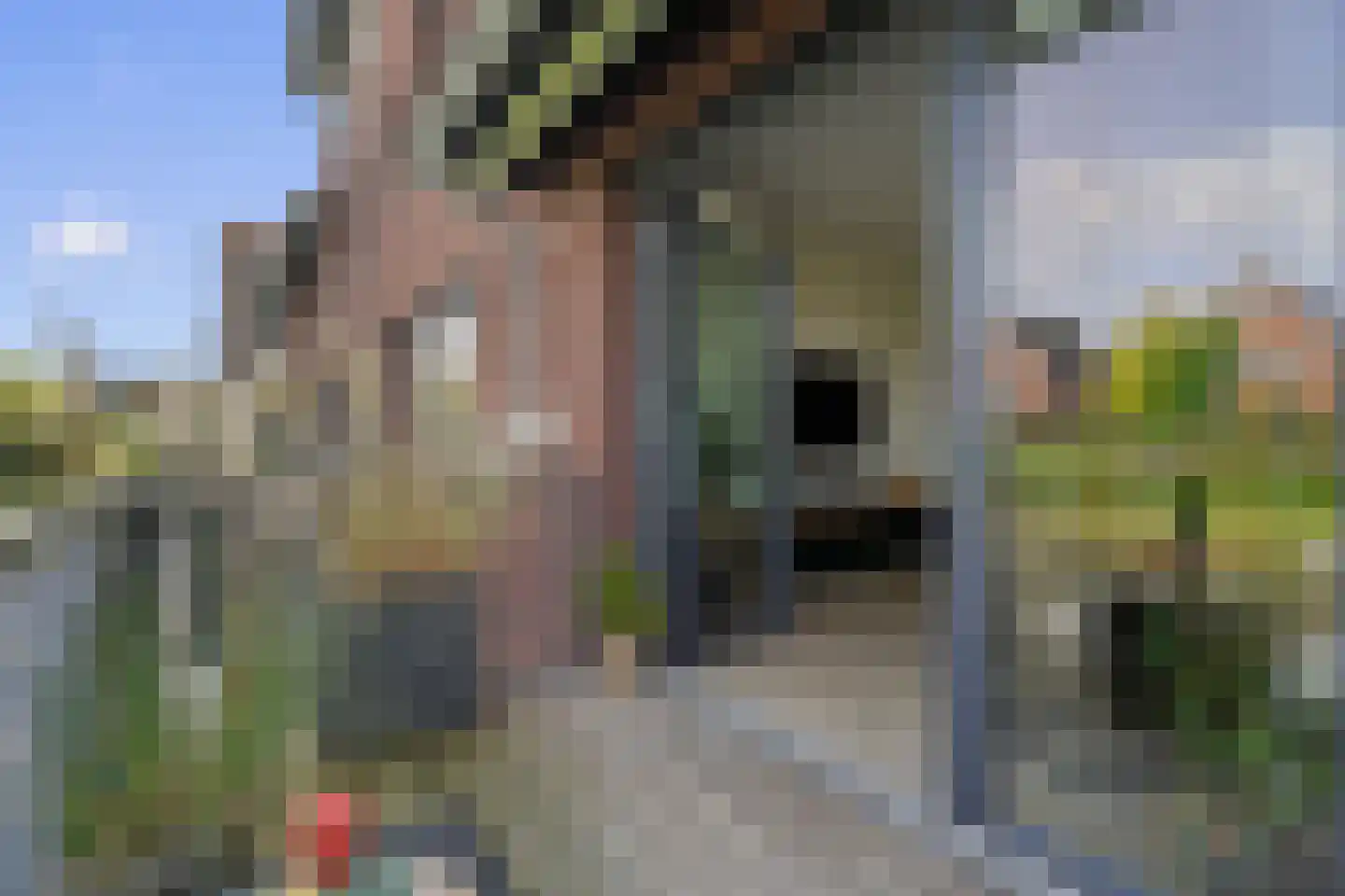 Via Horta 113 Houten thumbnail 9
