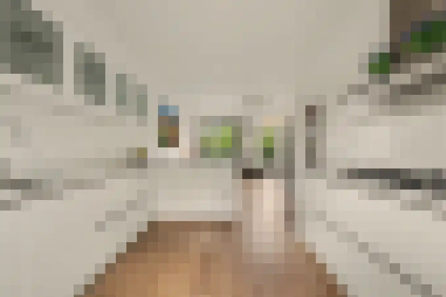 Via Mercadante 1 Voorburg thumbnail 13