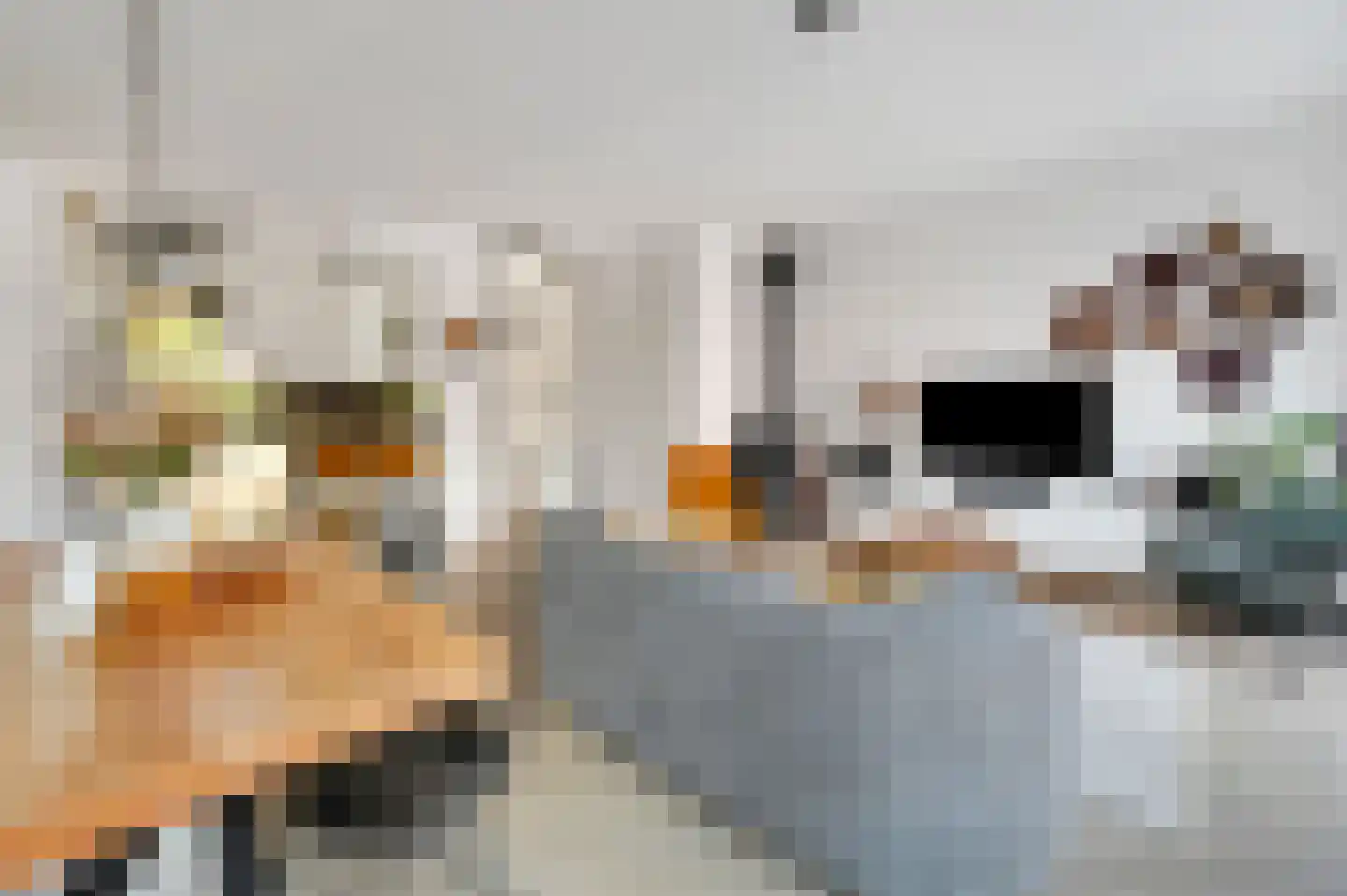 Via Mercadante 2 Voorburg thumbnail 14