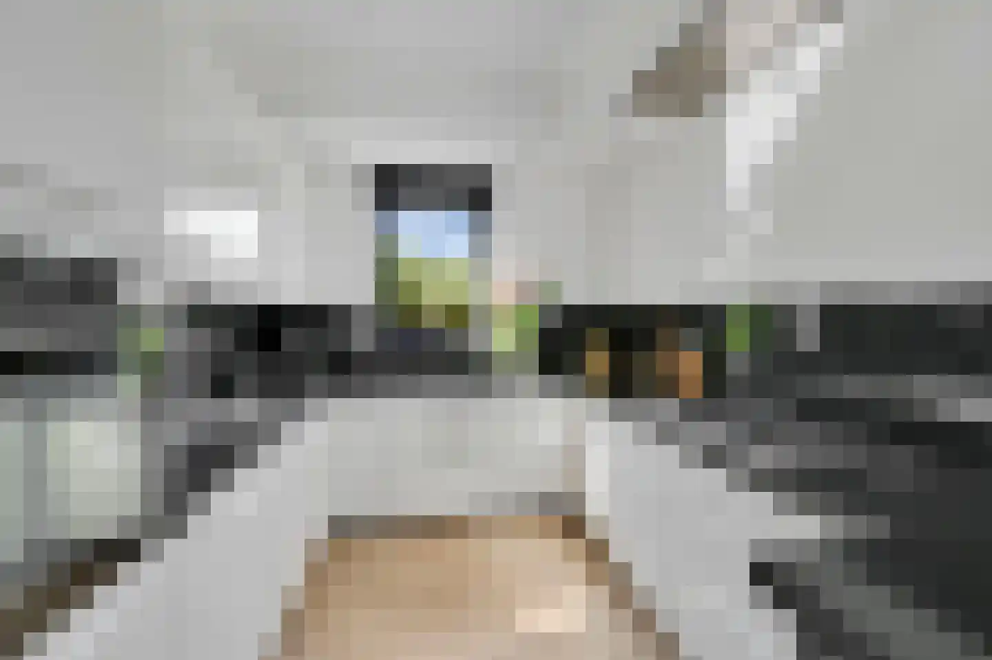 Via Mercadante 2 Voorburg thumbnail 19