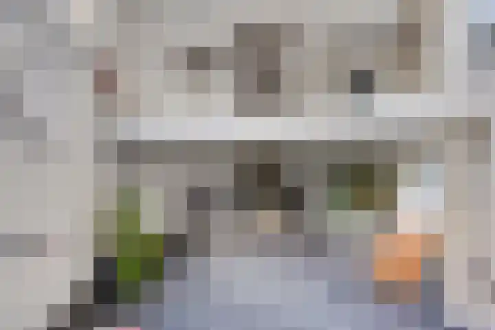Via Regia 10 A Maastricht thumbnail 8