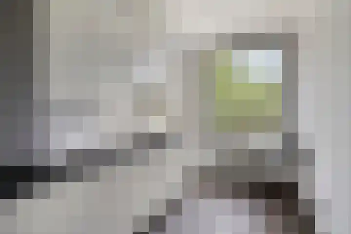 Via Regia 115 A Maastricht thumbnail 7