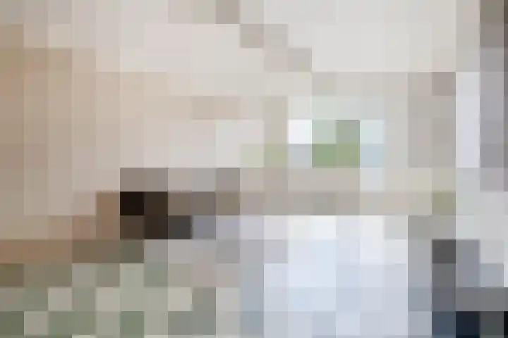 Via Regia 117 A Maastricht thumbnail 13