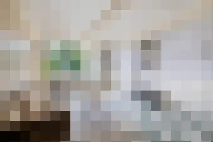 Via Regia 117 A Maastricht thumbnail 15