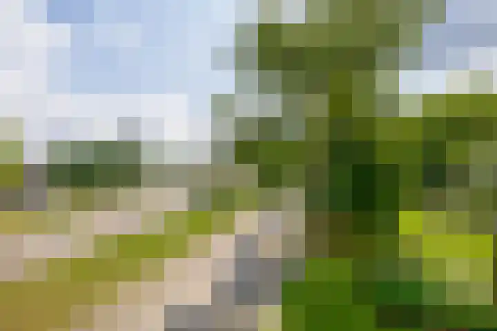 Via Regia 117 A Maastricht thumbnail 17