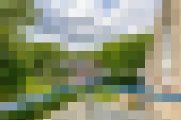 Via Regia 117 A Maastricht thumbnail 18