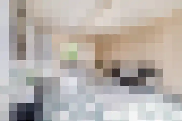 Via Regia 117 A Maastricht thumbnail 19