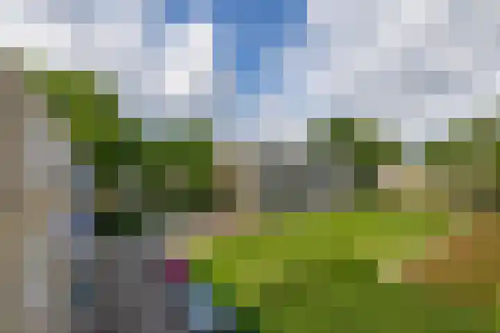 Via Regia 117 A Maastricht thumbnail 23