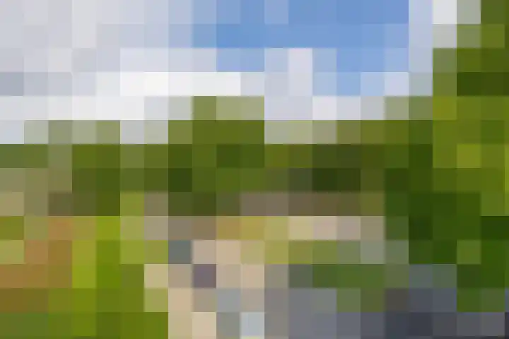 Via Regia 117 A Maastricht thumbnail 24