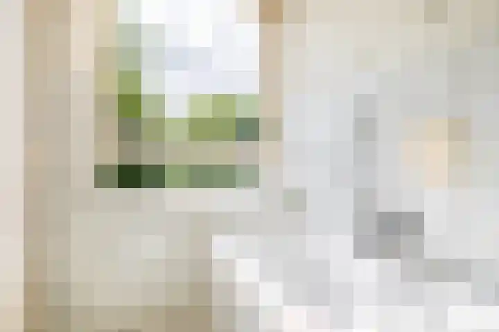 Via Regia 117 A Maastricht thumbnail 33
