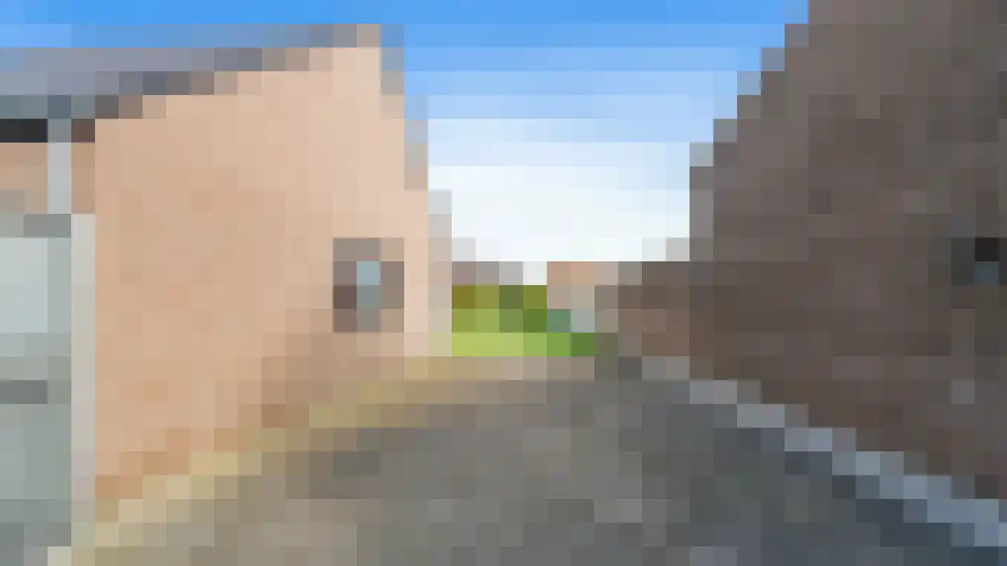 Via Regia 119 Maastricht thumbnail 20