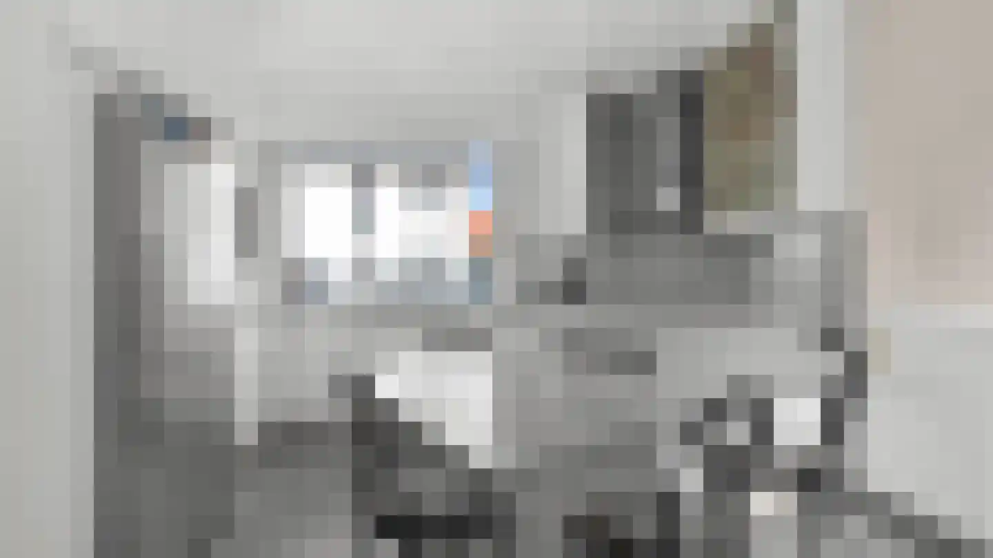 Via Regia 119 Maastricht thumbnail 7