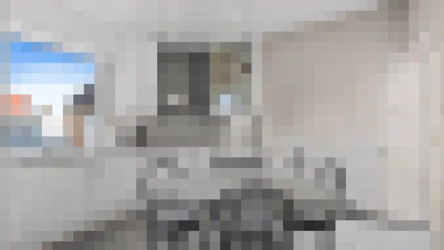 Via Regia 119 Maastricht thumbnail 8