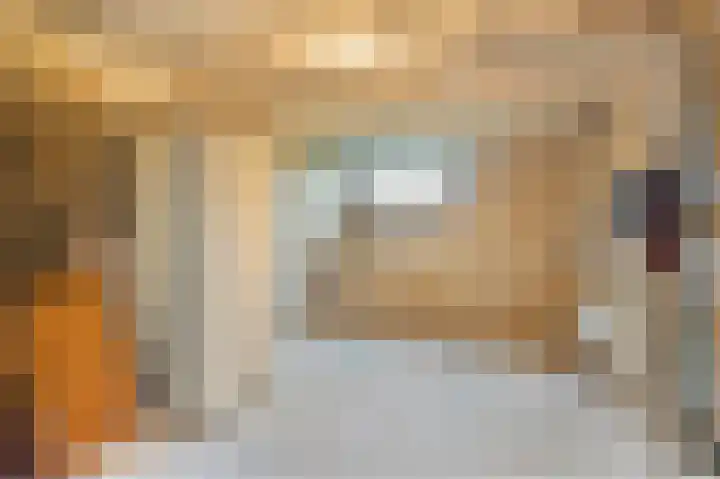 Via Regia 123 C Maastricht thumbnail 8