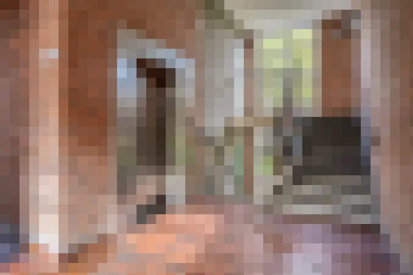 Via Regia 126 B Maastricht thumbnail 7