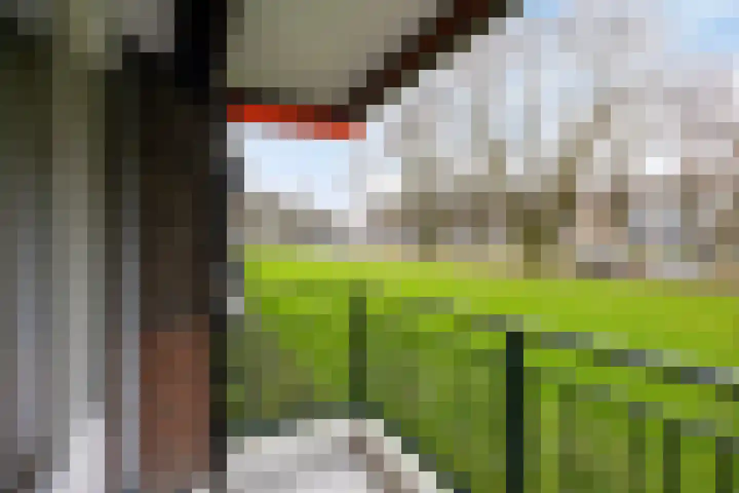 Via Regia 126 E Maastricht thumbnail 24