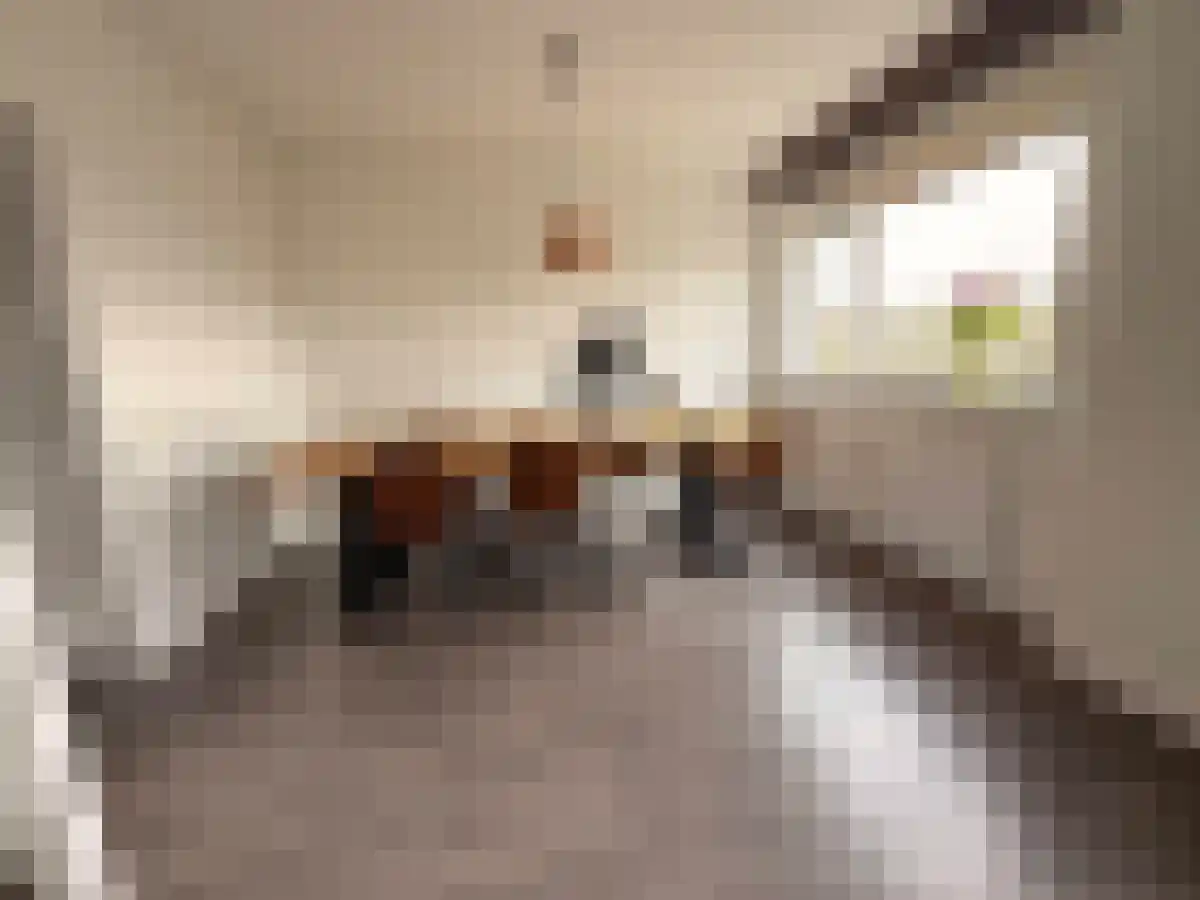 Via Regia 132 A Maastricht thumbnail 6