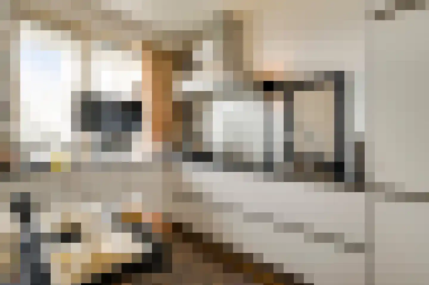 Via Regia 132 C Maastricht thumbnail 4