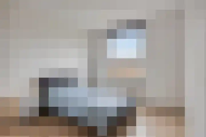 Via Regia 133 A Maastricht thumbnail 17