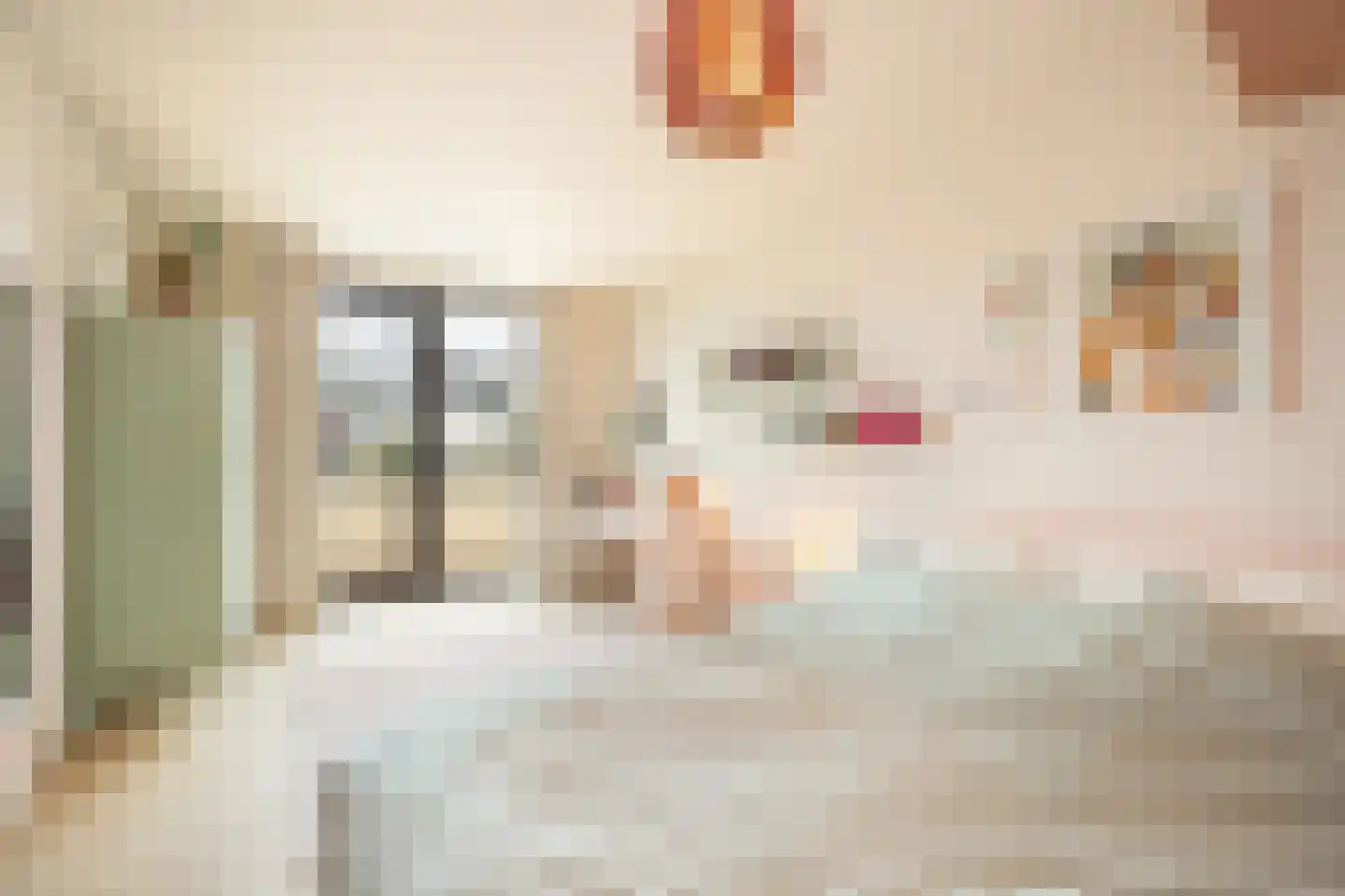Via Regia 133 Maastricht thumbnail 11