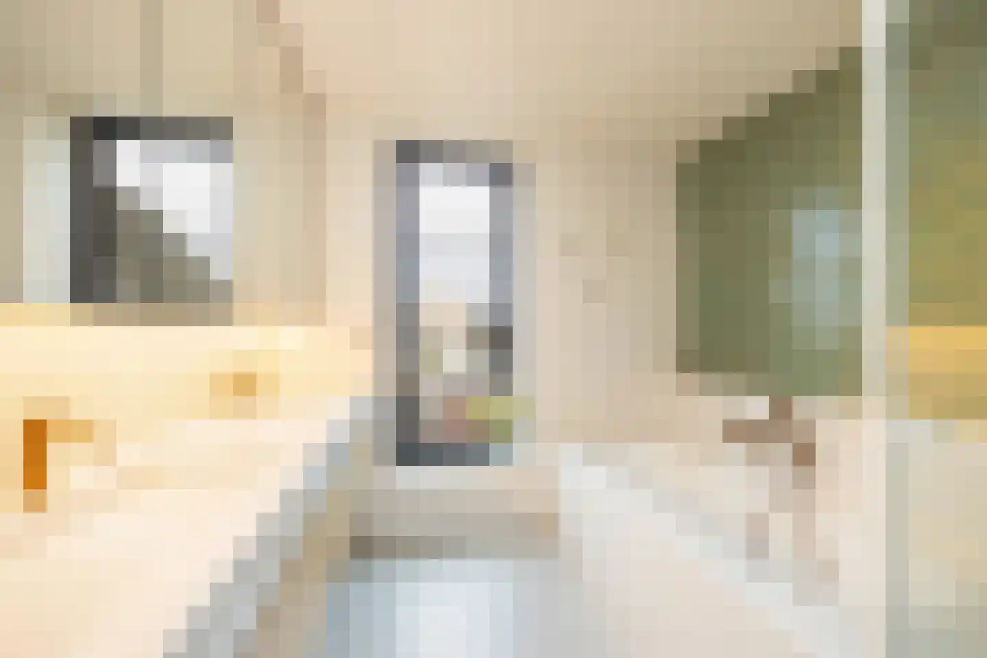 Via Regia 133 Maastricht thumbnail 19