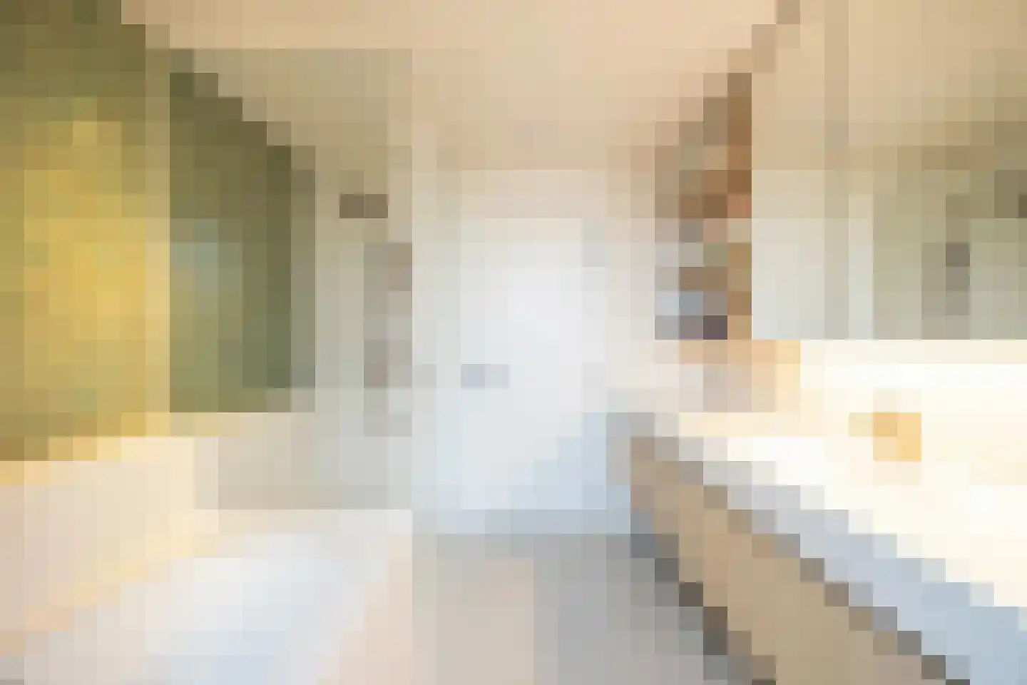 Via Regia 133 Maastricht thumbnail 21